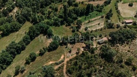 Terreno para Venda em Fatela