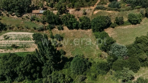 Terreno para Venda em Fatela