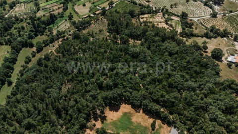 Terreno para Venda em Fatela