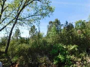 Terreno para Venda em Fatela