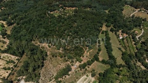 Terreno para Venda em Fatela