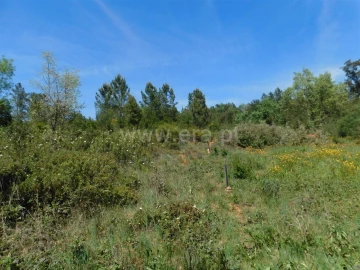 Terreno para Venda em Fatela