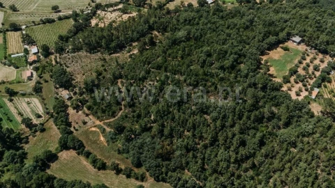 Terreno para Venda em Fatela