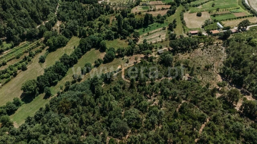 Terreno para Venda em Fatela Foto 8