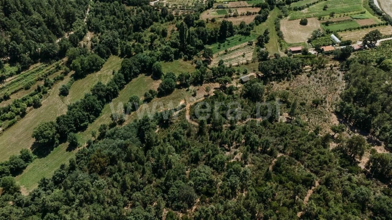 Terreno para Venda em Fatela Foto 8
