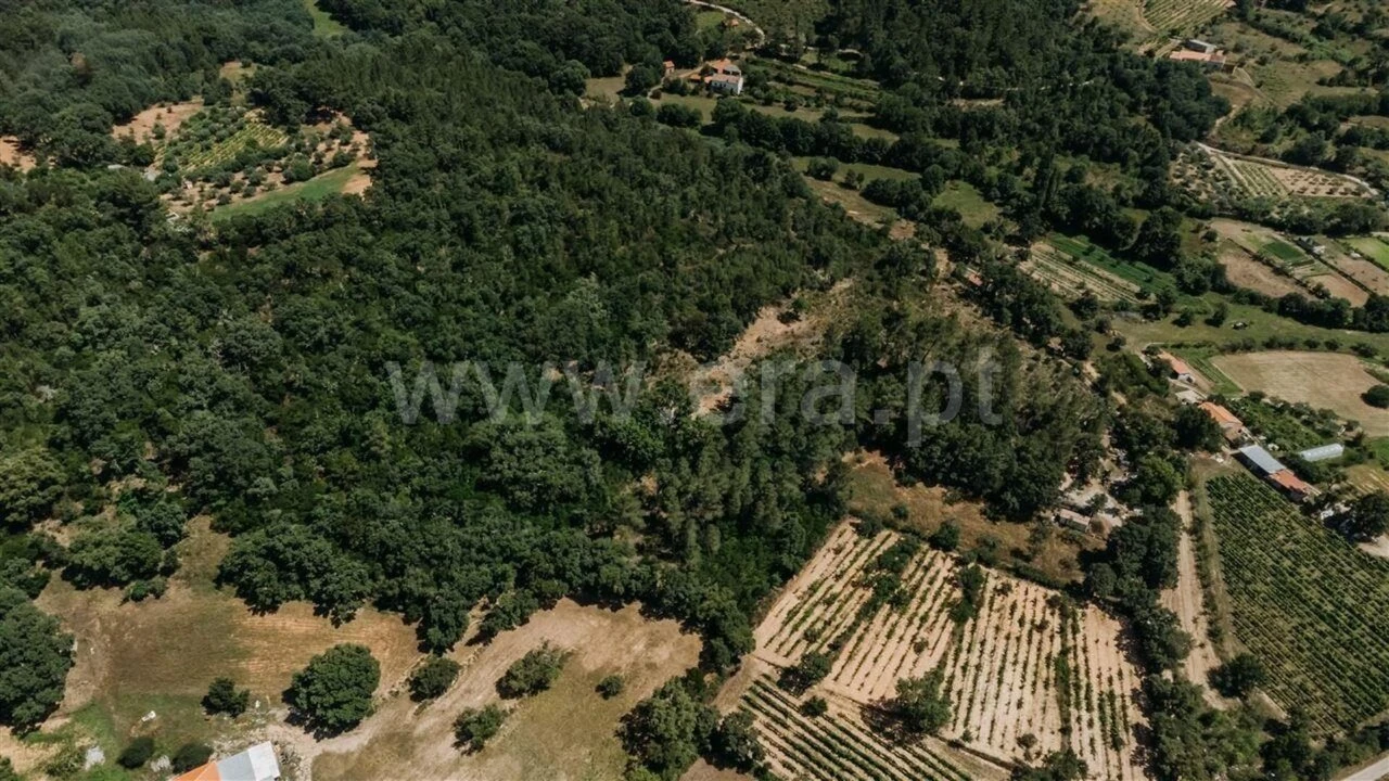 Terreno para Venda em Fatela Foto 7