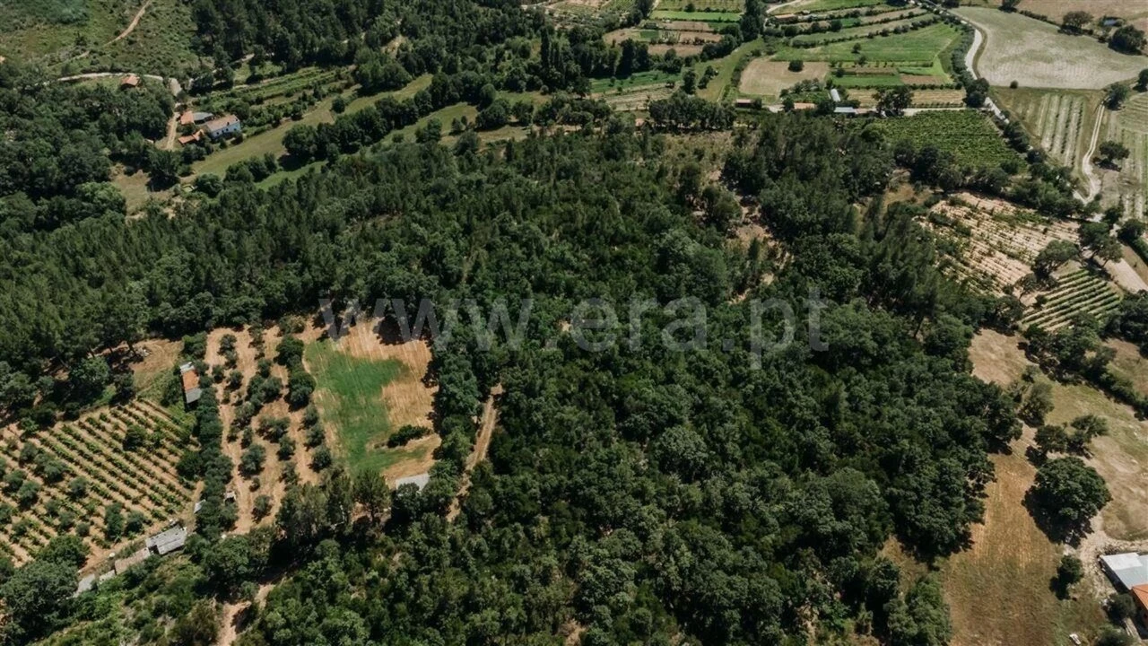 Terreno para Venda em Fatela Foto 6