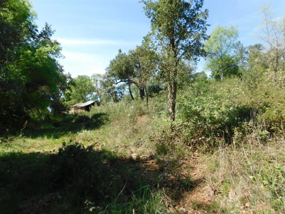 Terreno para Venda em Fatela Foto 18