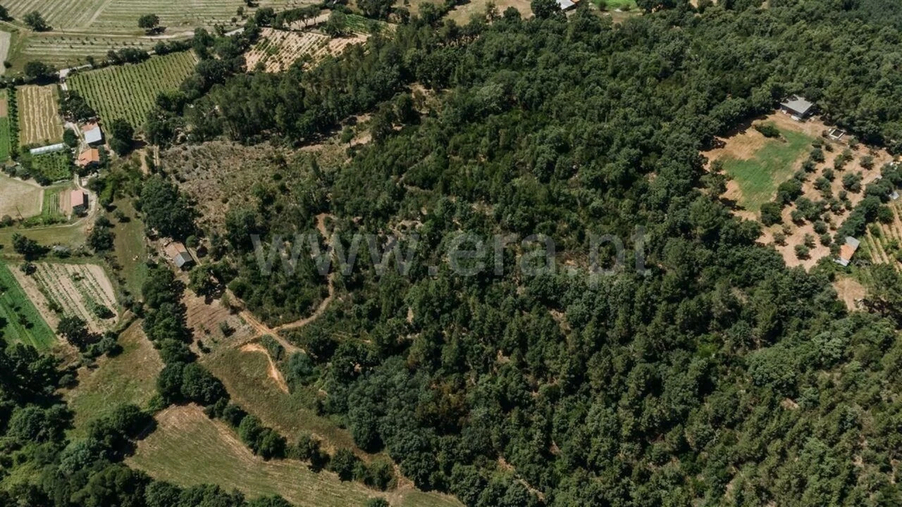 Terreno para Venda em Fatela Foto 4