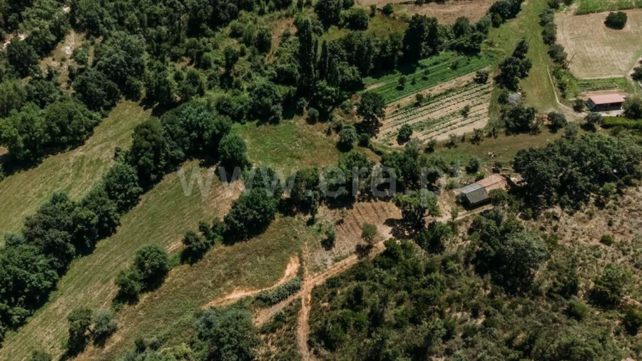 Terreno para Venda em Fatela