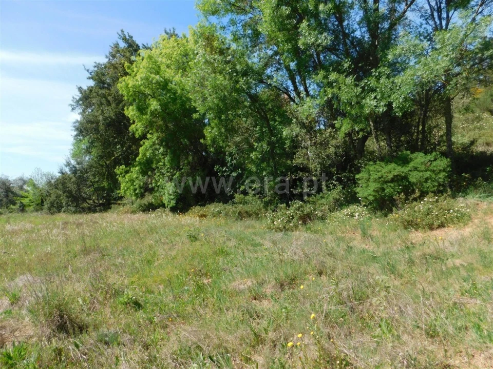 Terreno para Venda em Fatela Foto 19