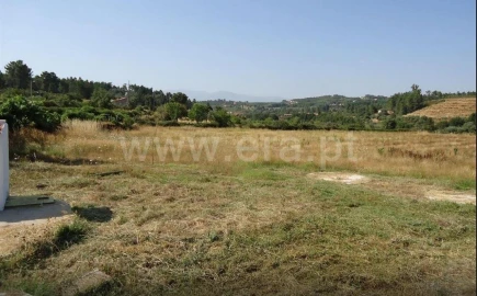 Quinta T1 para Venda em Souto da Casa