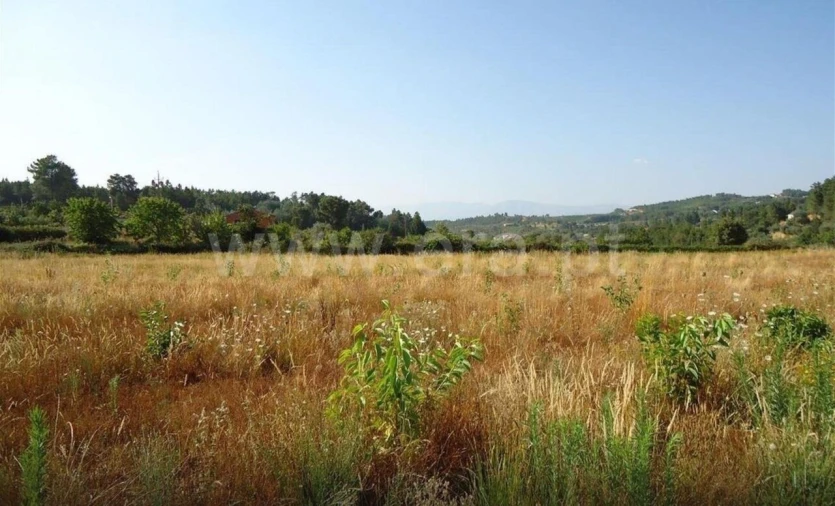 Quinta T1 para Venda em Souto da Casa Foto 8