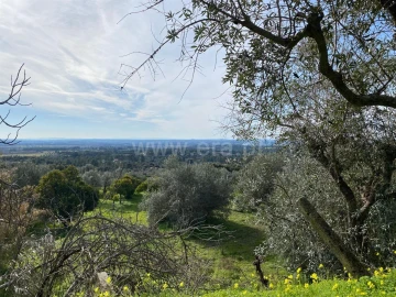 Quinta T0 para Venda em Vale de Prazeres e Mata da Rainha