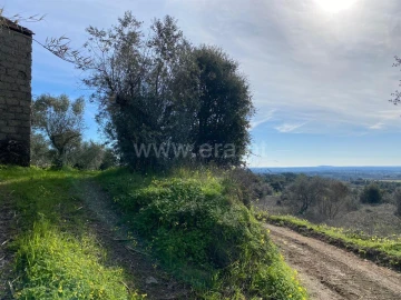 Quinta T0 para Venda em Vale de Prazeres e Mata da Rainha