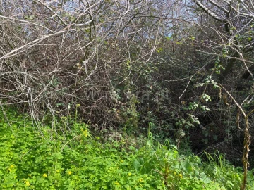 Quinta T0 para Venda em Vale de Prazeres e Mata da Rainha