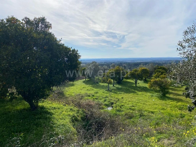 Quinta T0 para Venda em Vale de Prazeres e Mata da Rainha Foto 7