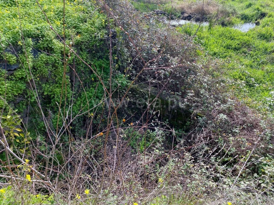Quinta T0 para Venda em Vale de Prazeres e Mata da Rainha Foto 10
