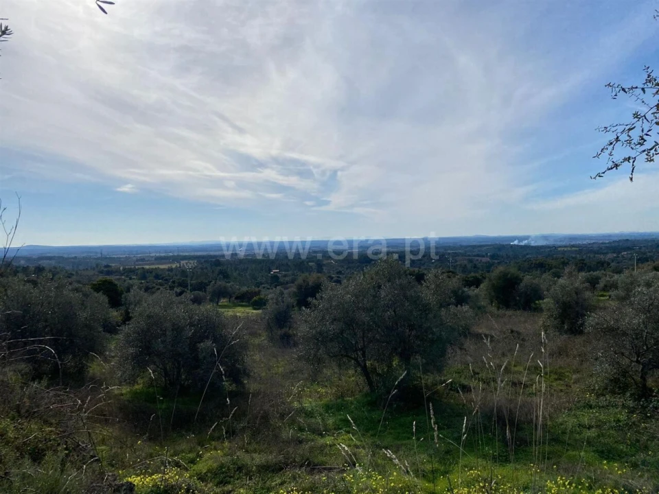 Quinta T0 para Venda em Vale de Prazeres e Mata da Rainha Foto 4