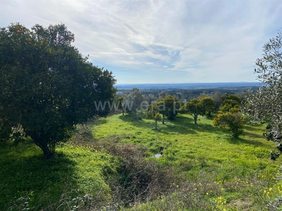Quinta T0 para Venda em Vale de Prazeres e Mata da Rainha Foto 7