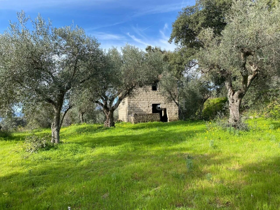 Quinta T0 para Venda em Vale de Prazeres e Mata da Rainha Foto 1