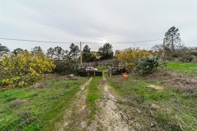 Quinta T1 para Venda em Vale de Prazeres e Mata da Rainha