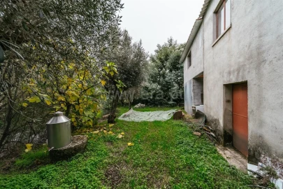 Quinta T1 para Venda em Vale de Prazeres e Mata da Rainha