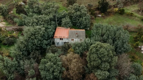 Quinta T1 para Venda em Vale de Prazeres e Mata da Rainha