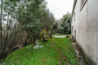 Quinta T1 para Venda em Vale de Prazeres e Mata da Rainha