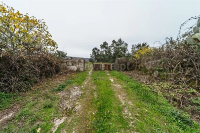 Quinta T1 para Venda em Vale de Prazeres e Mata da Rainha
