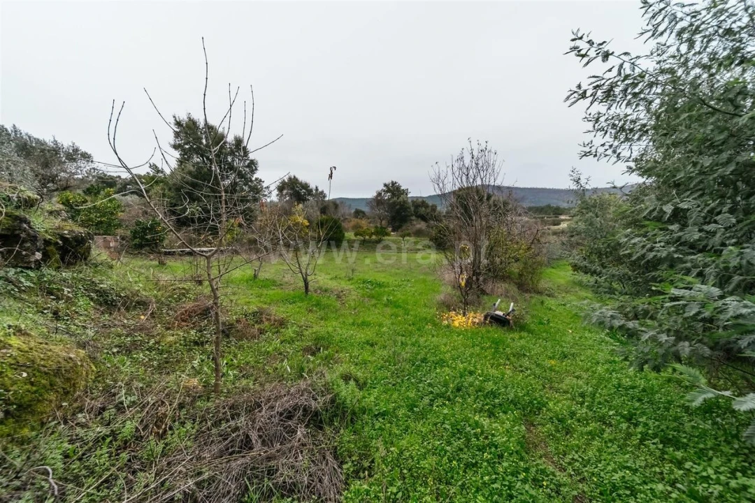 Quinta T1 para Venda em Vale de Prazeres e Mata da Rainha Foto 7