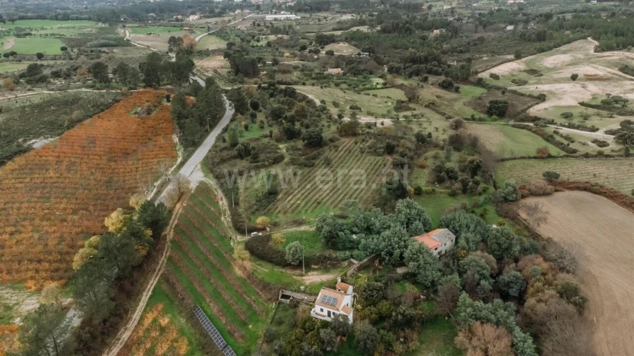 Quinta T1 para Venda em Vale de Prazeres e Mata da Rainha Foto 15