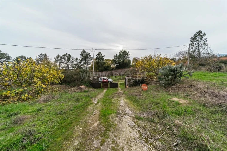 Quinta T1 para Venda em Vale de Prazeres e Mata da Rainha Foto 4