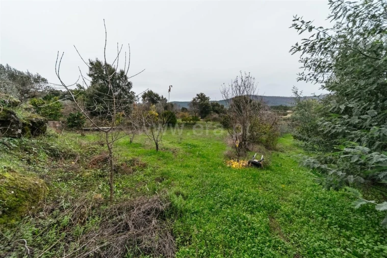 Quinta T1 para Venda em Vale de Prazeres e Mata da Rainha Foto 7