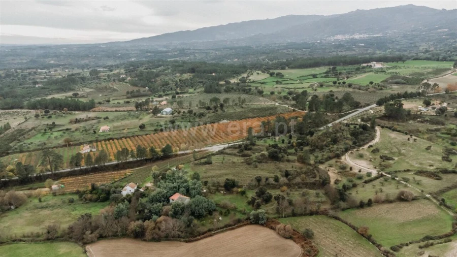 Quinta T1 para Venda em Vale de Prazeres e Mata da Rainha Foto 18