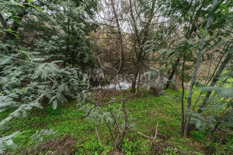 Quinta T1 para Venda em Vale de Prazeres e Mata da Rainha Foto 11