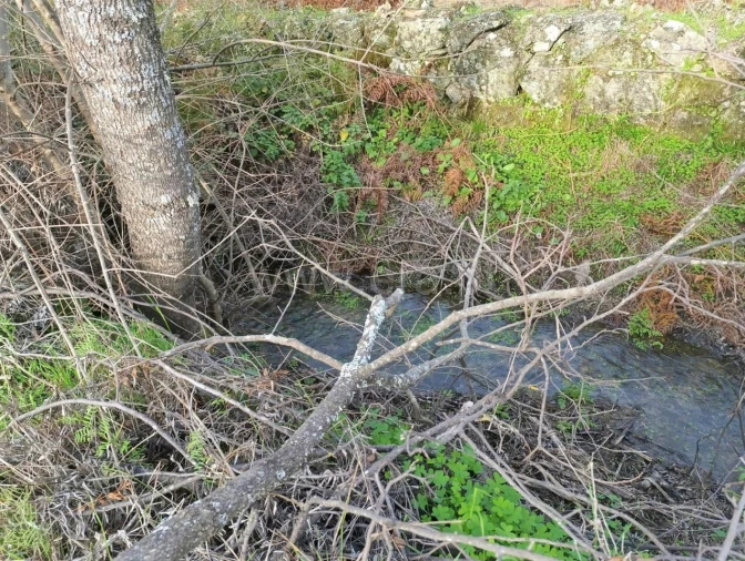 Quinta T1 para Venda em Vale de Prazeres e Mata da Rainha Foto 9