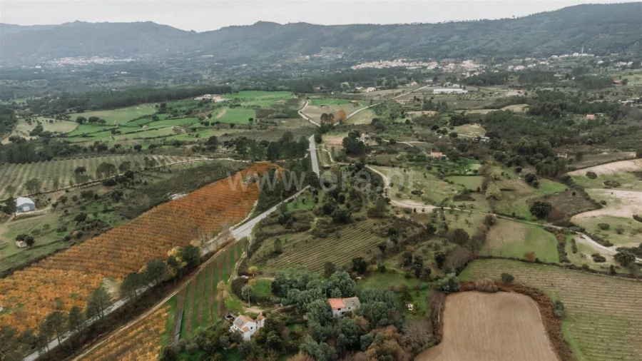 Quinta T1 para Venda em Vale de Prazeres e Mata da Rainha Foto 19