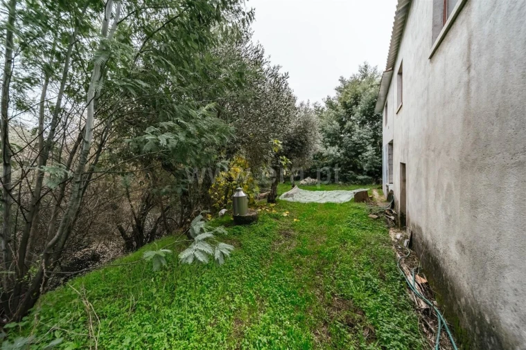 Quinta T1 para Venda em Vale de Prazeres e Mata da Rainha Foto 6