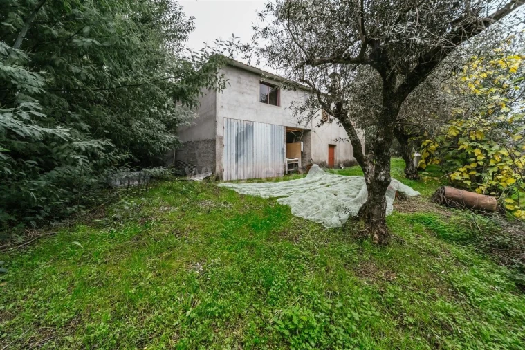 Quinta T1 para Venda em Vale de Prazeres e Mata da Rainha Foto 13