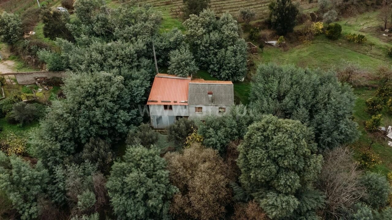 Quinta T1 para Venda em Vale de Prazeres e Mata da Rainha Foto 1