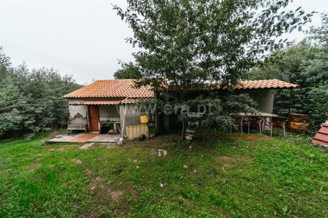 Quinta T1 para Venda em Vale de Prazeres e Mata da Rainha Foto 14