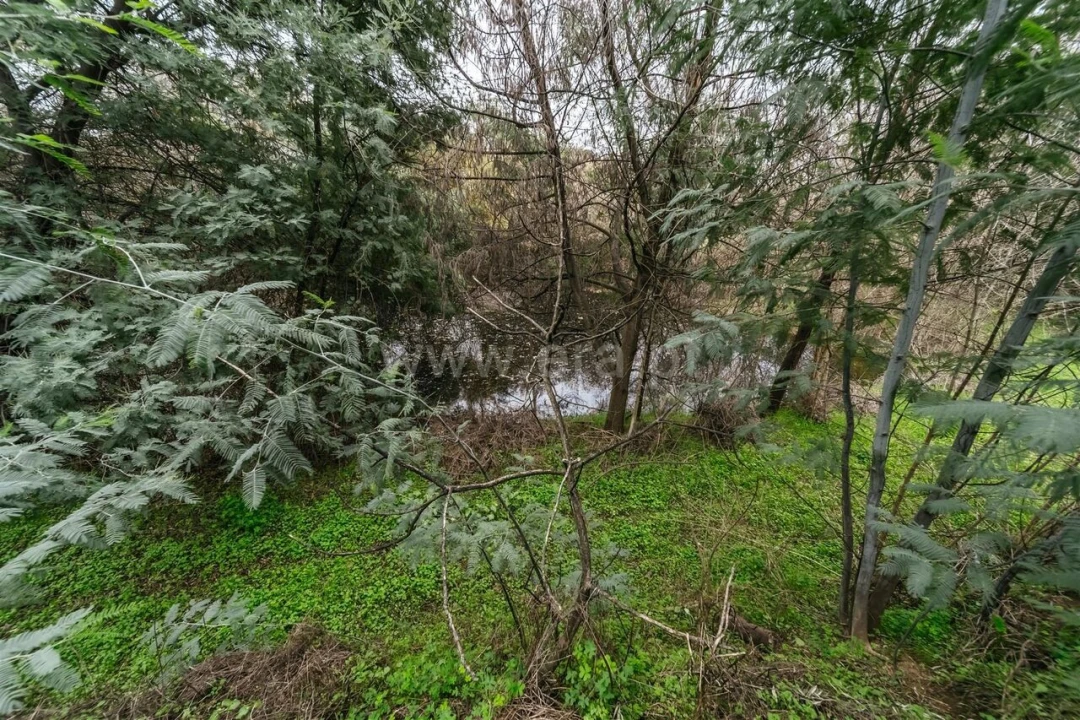 Quinta T1 para Venda em Vale de Prazeres e Mata da Rainha Foto 11