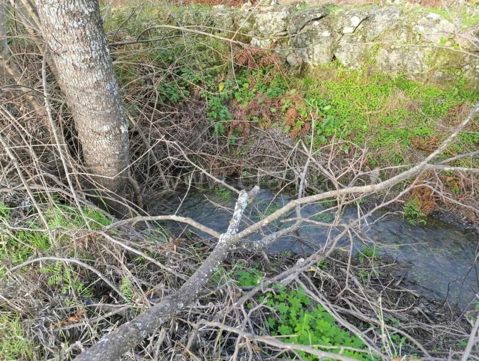 Quinta T1 para Venda em Vale de Prazeres e Mata da Rainha Foto 9