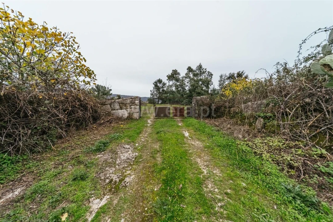 Quinta T1 para Venda em Vale de Prazeres e Mata da Rainha Foto 3