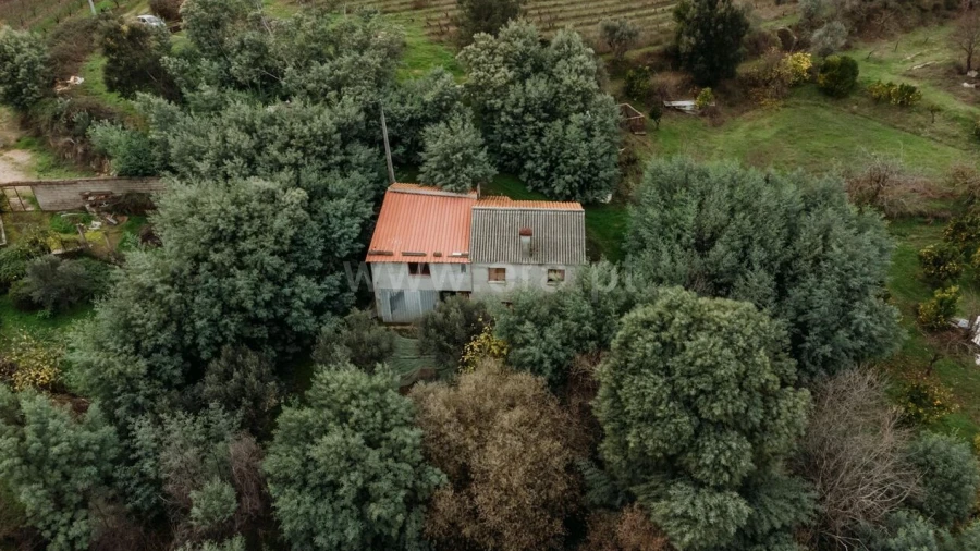 Quinta T1 para Venda em Vale de Prazeres e Mata da Rainha