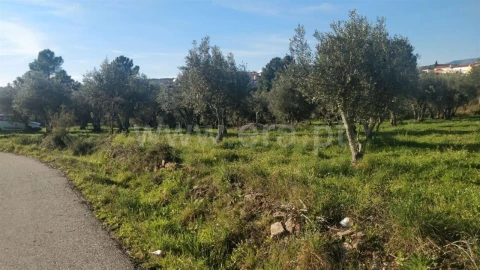 Terreno para Venda em Dominguizo