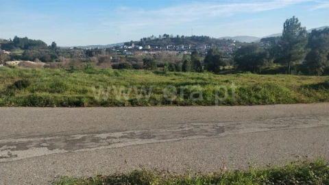 Terreno para Venda em Dominguizo