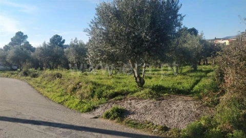 Terreno para Venda em Dominguizo