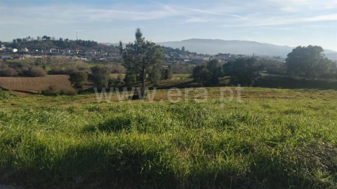 Terreno para Venda em Dominguizo